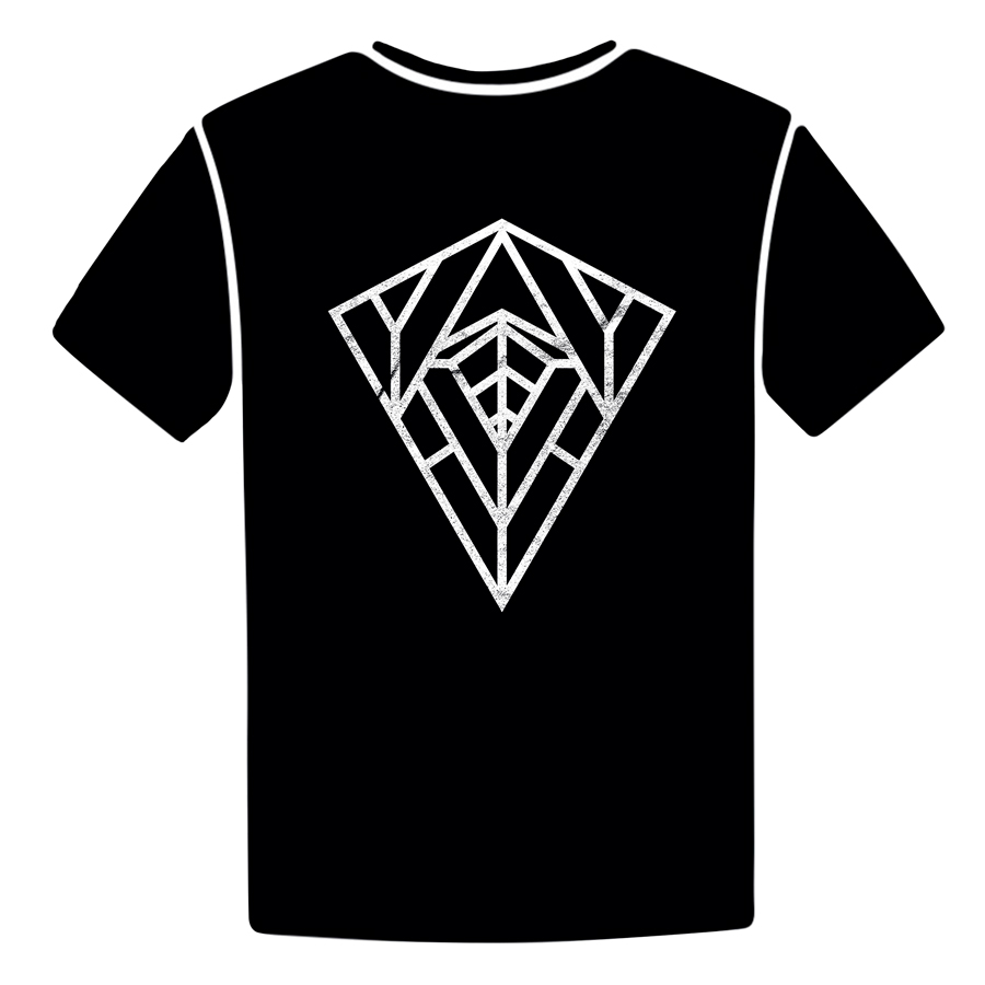 Camiseta-Chico-Los-Angeles-detras